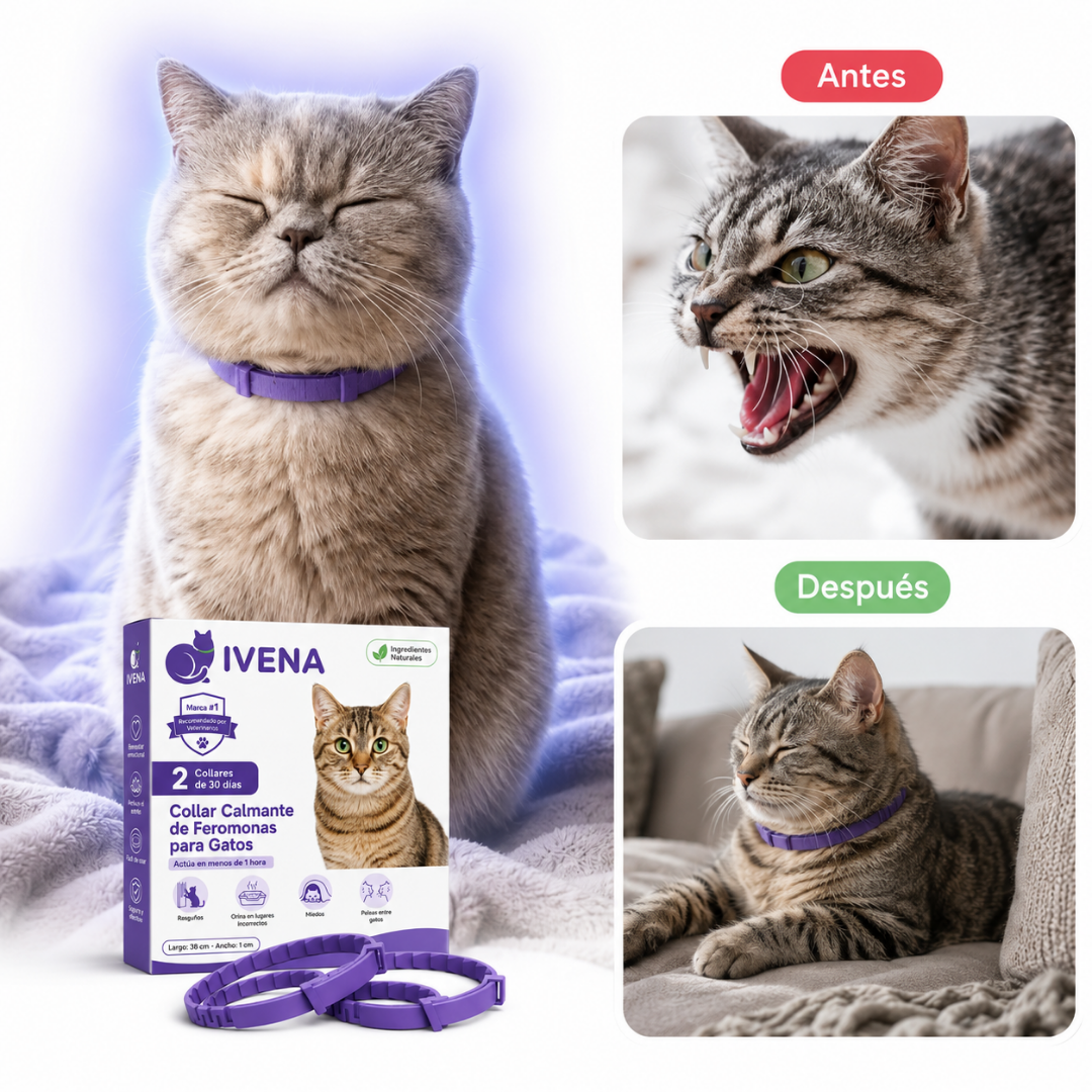 Collar Anti-Estrés para Gatos